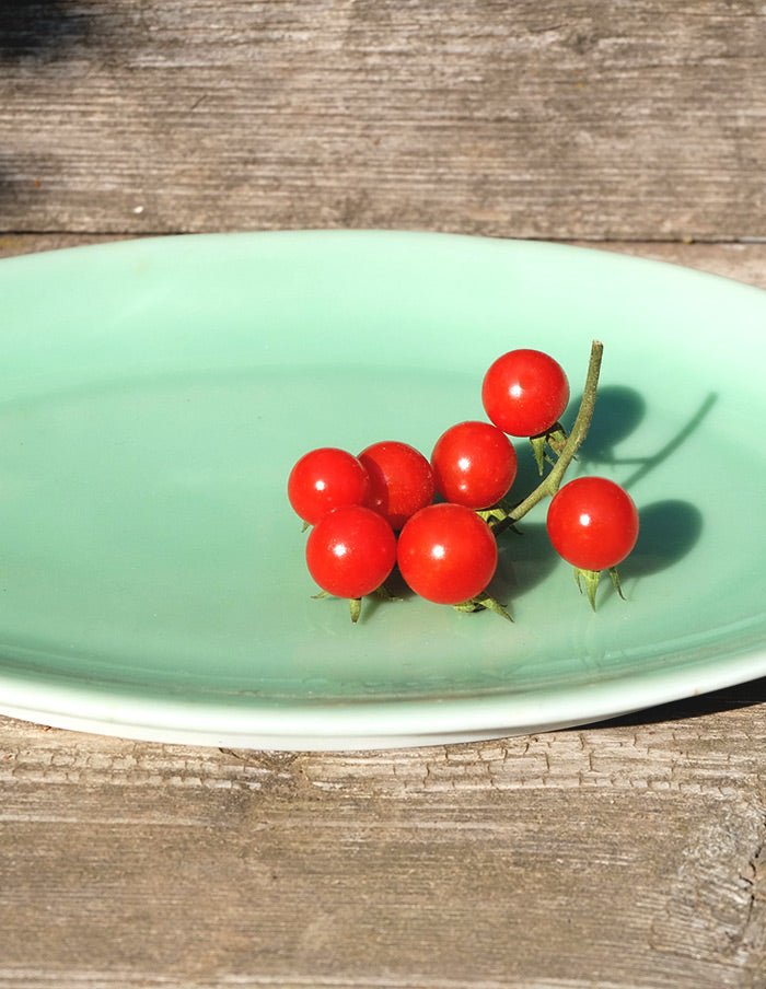 Semences Potager La Société des Plantes - Ex - voto