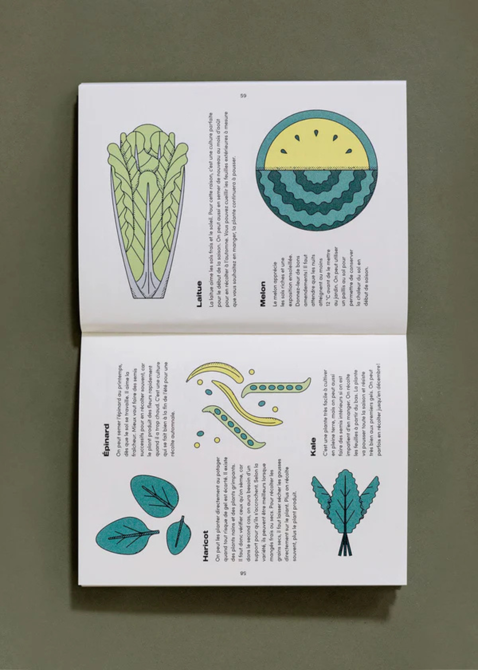 Livre Le Petit Guide illustré du Potager - Nutritioniste Urbain