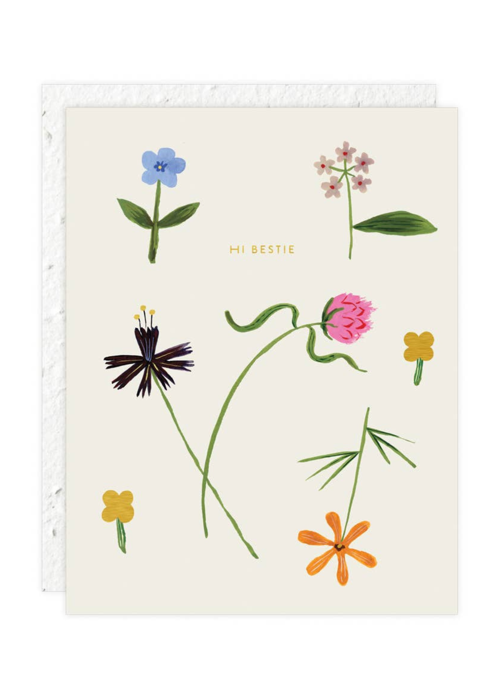 Seedlings Quirky Petals Greeting Card