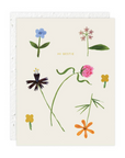 Seedlings Quirky Petals Greeting Card