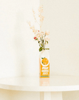 Vase Jus d'Orange Ban.do - Ex - voto