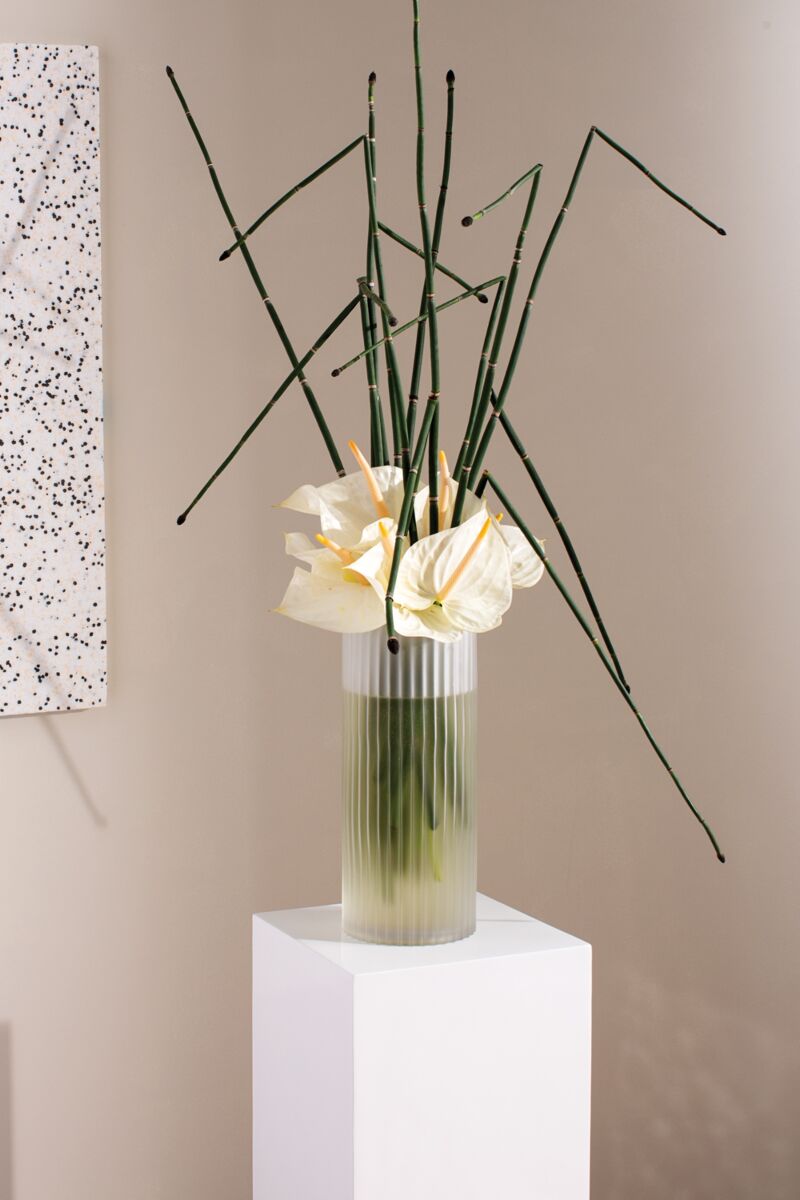 Vase Paloma 5 x 10 AD - Ex - voto