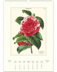 Cavallini Botanica 2025 Wall Calendar 