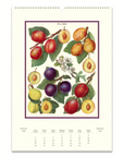 Cavallini Farmer's Market 2025 Wall Calendar